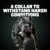 Bully Max Tactical Dog Collars