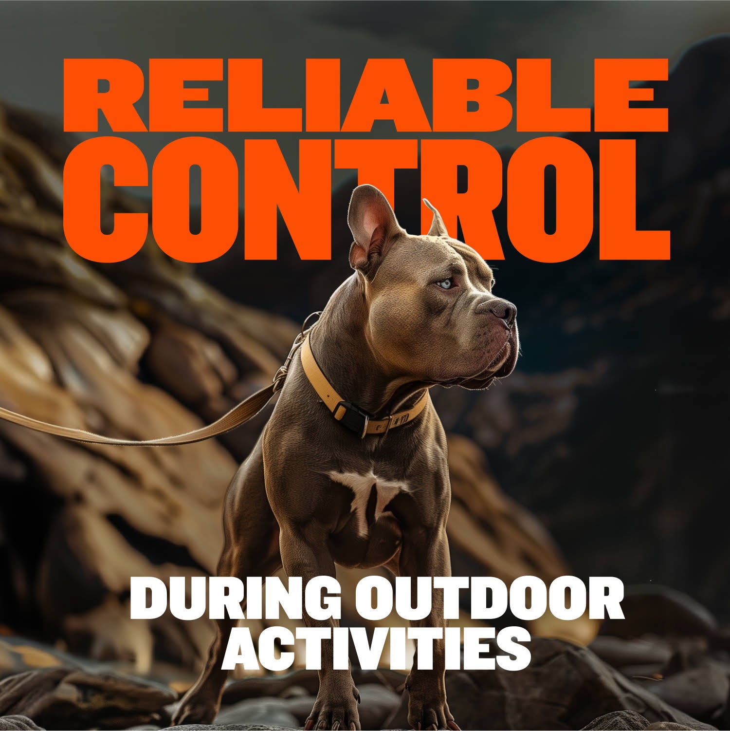 Heavy Duty Dog Leash Shop Bully Max Dog Equipment Bully Max