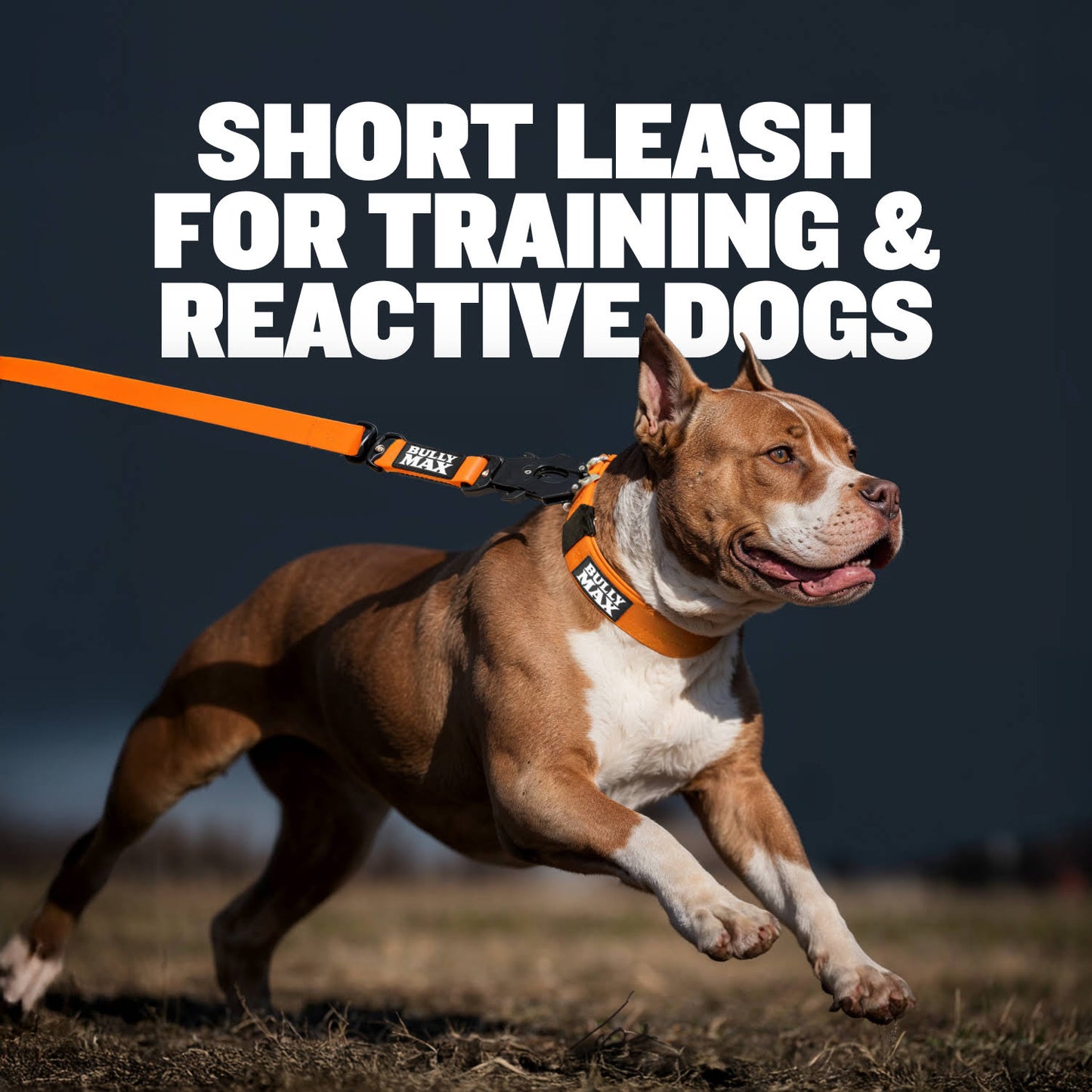 Waterproof Short Dog Leash (Orange)