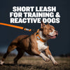 Waterproof Short Dog Leash (Orange)