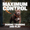 Waterproof Short Dog Leash (Orange)