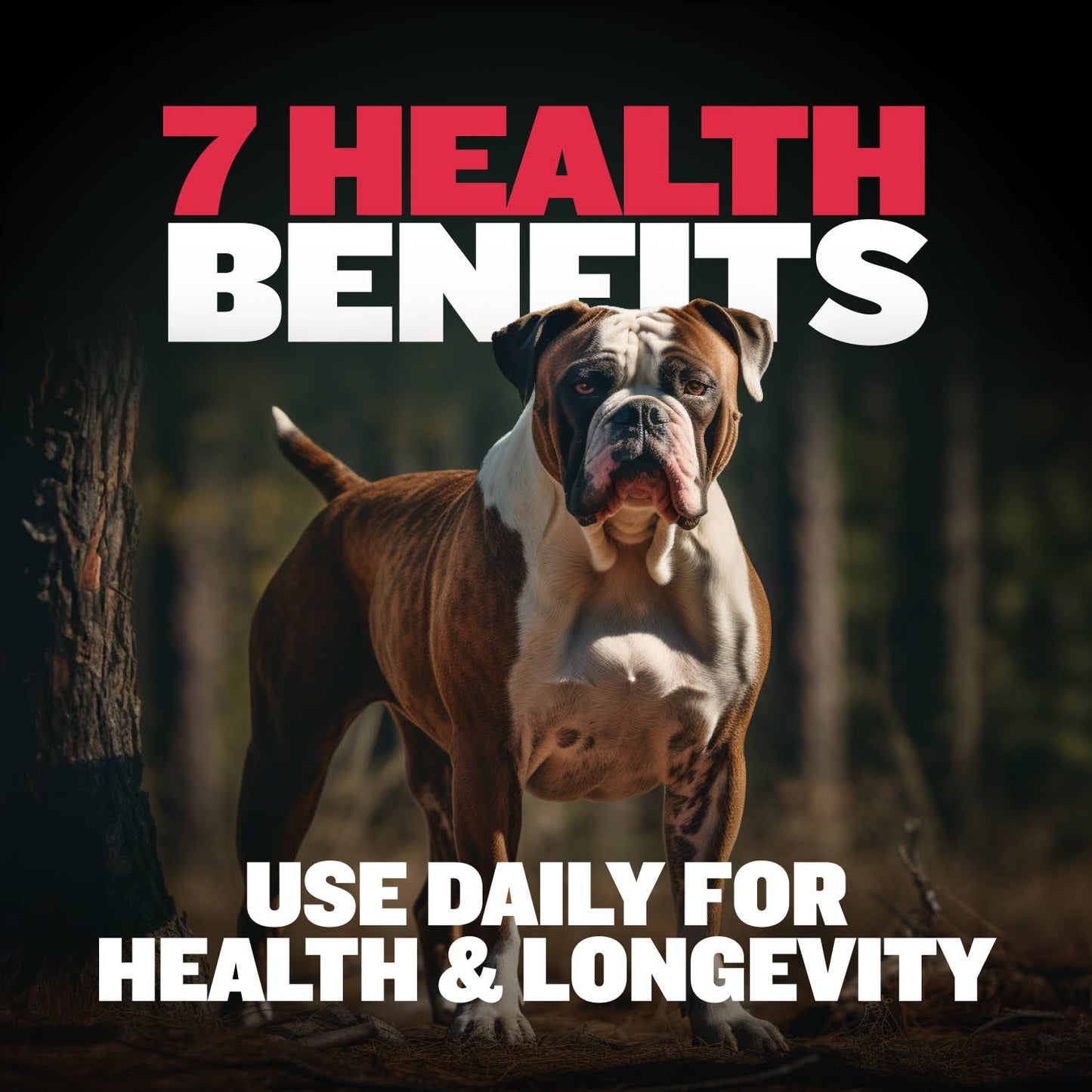 Bully Max Vitality Chews for Immunity & Health