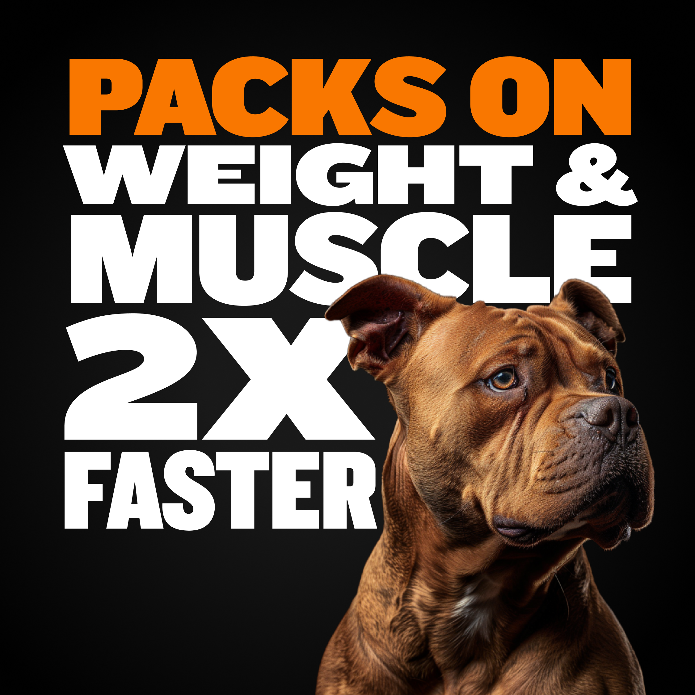 Bully Max Pit Bull Dog Food and Muscle Building Supplement Combo