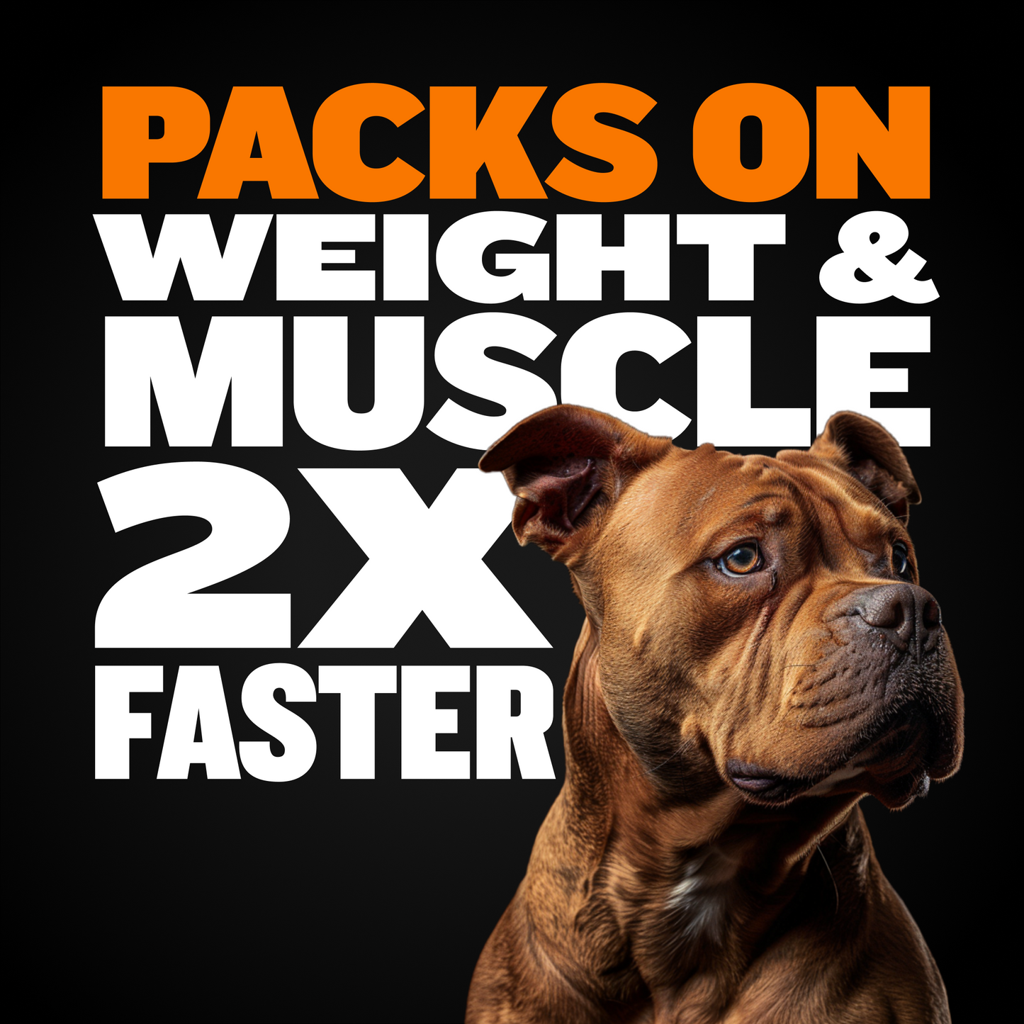 Bully Max Dog Food & Muscle Gain Tablet Bundle (15 lbs)