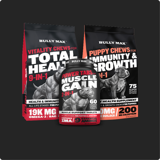 slide image in a carousel