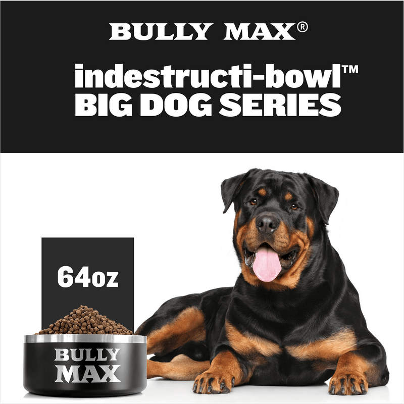 Heavy Duty Steel Dog Bowl