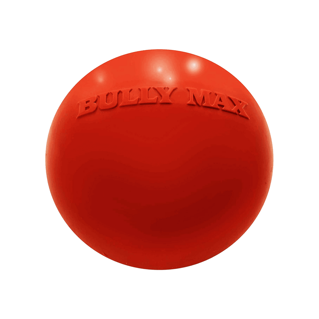 Indestructible Dog Ball for Power Chewers