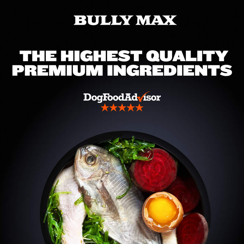 Image showcasing Bully Max High Protein Dog Food | Get 10% Off Premium Dog Nutrition ...