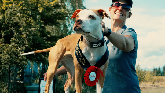 YouTube thumbnail slide image in a carousel