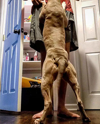 slide image in a carousel