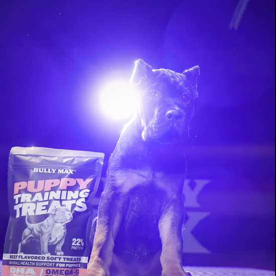 Puppy Training Treats