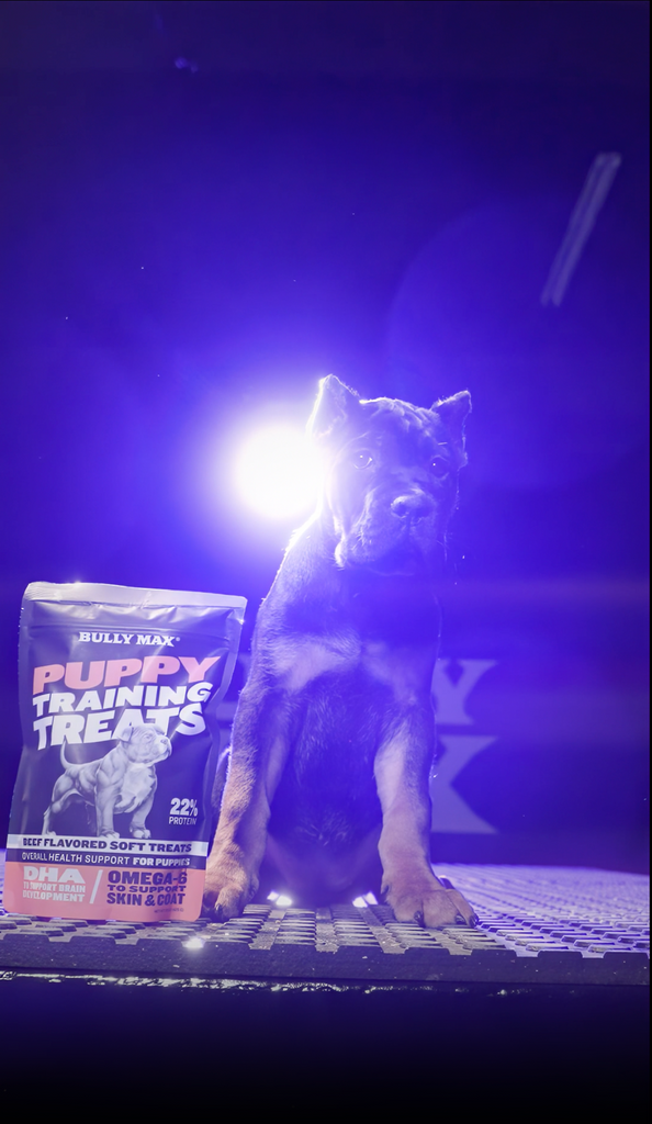 Puppy Training Treats