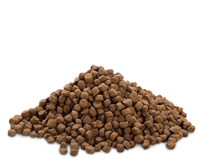 Bully max best sale samples