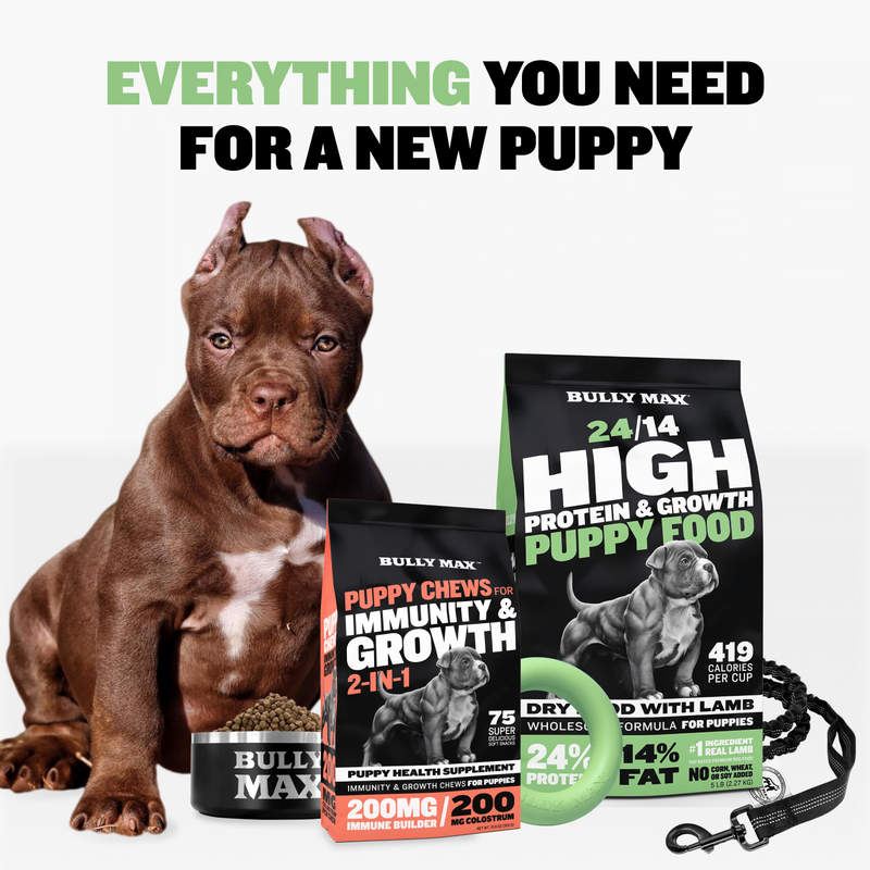 Puppy Starter Pack for Training & Growth - Bully Max