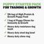 Puppy Starter Pack for Training & Growth
