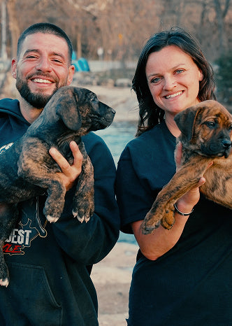 slide image in a carousel