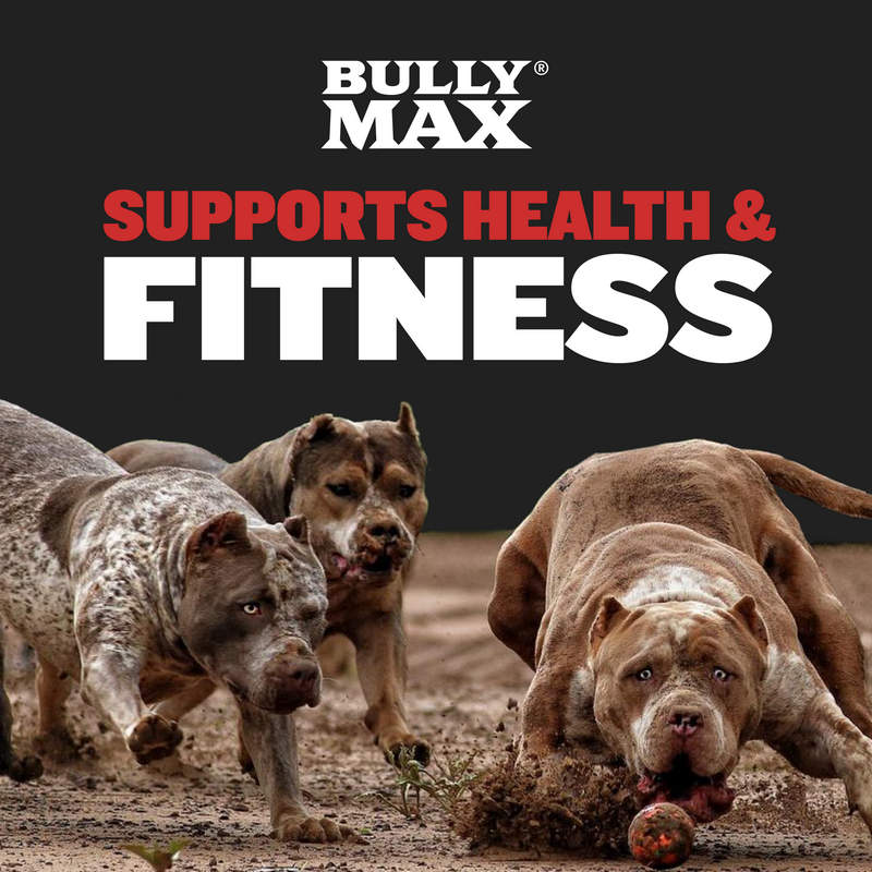 Bully Max Supplement for Total Health