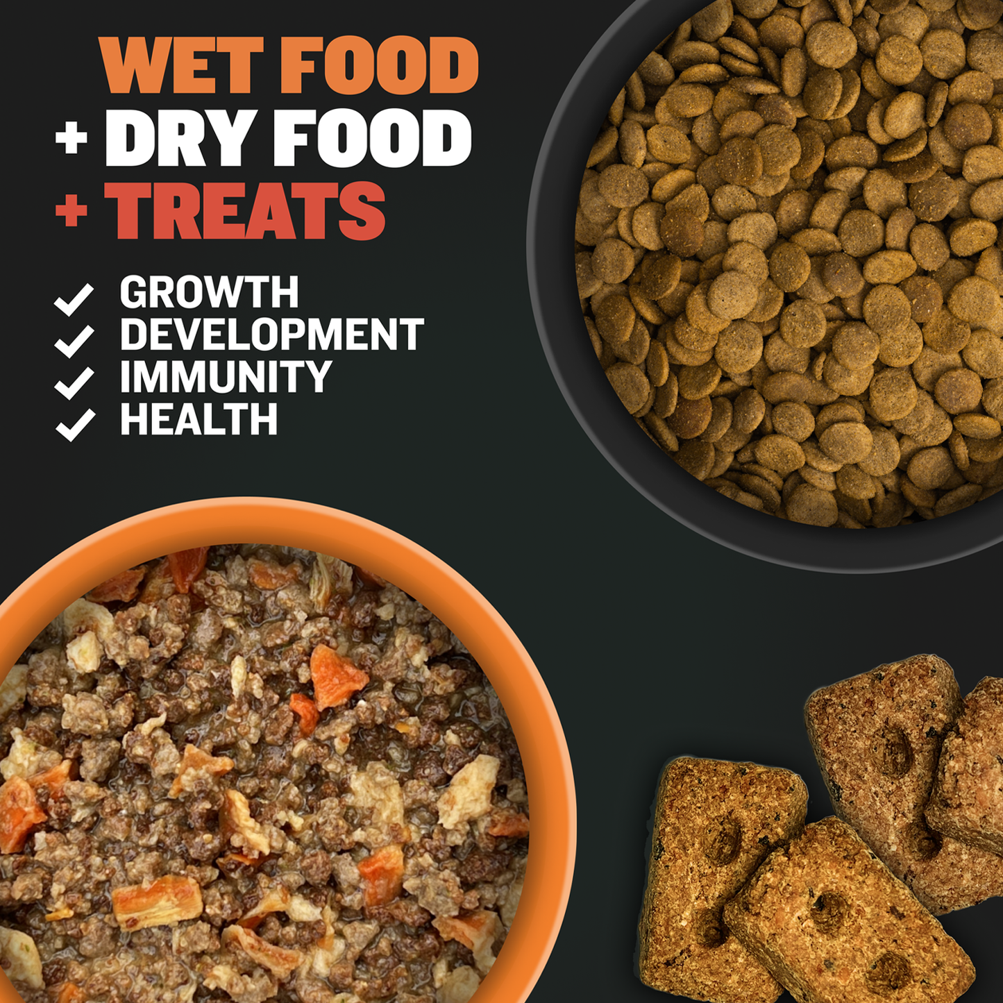 Treats, Dry Food, & Wet Food - Bundle - Chicken Flavor